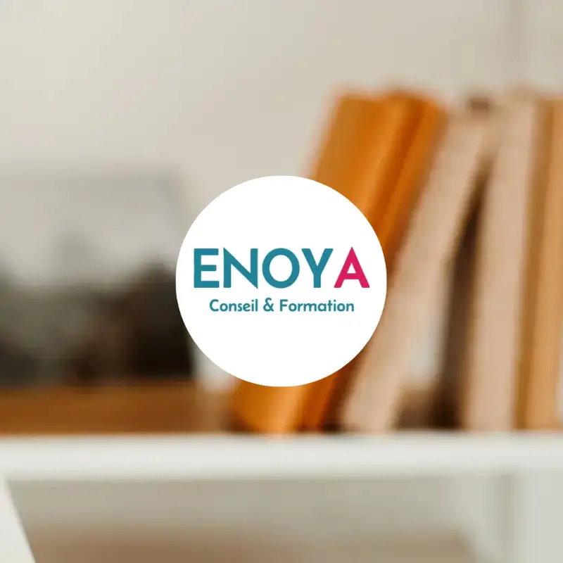 Qui est ENOYA, Conseil et Formation ?